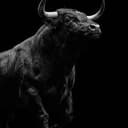 Bull