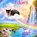 idgaf