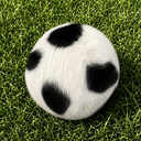 ballcat