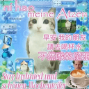 脑腐