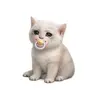 BABYCASHCAT