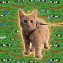 PEPE