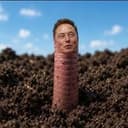 WORMS