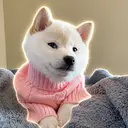 Gnocchi