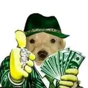 moneydog