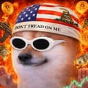 bdog