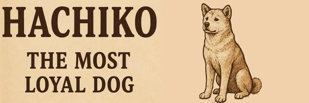 Hachiko Banner