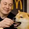 MCDOGE