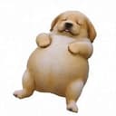 EEEPYDOG