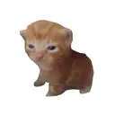 jit