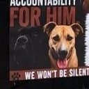 DOGS