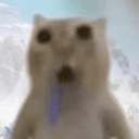 DROOLCAT