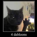 DABLOONS