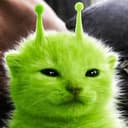 Glorp