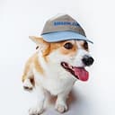Rufus