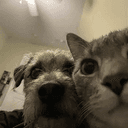 Selfie