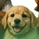 Joshua