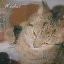 酒咪子