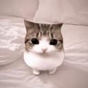 Meowpin