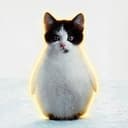catuin