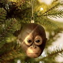 Orangutan