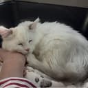 YUKI