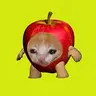 APPLCAT