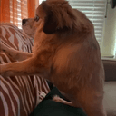 Tilly