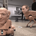 ROBOTDOG