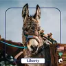 LIBERTY