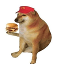 CHEEMS