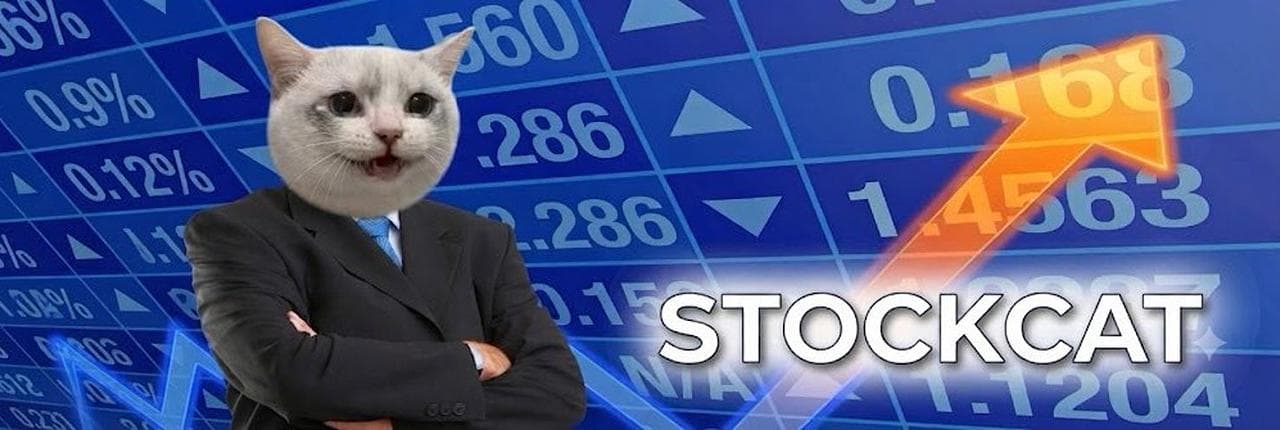 STOCKCAT Banner