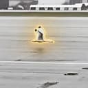 Swan