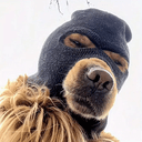 DOGZ