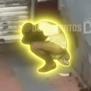 SHITPOCALYPSE