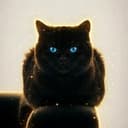 Hoshi