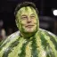 MelonMusk
