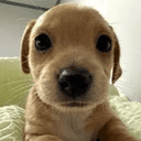 Benny