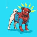 spiderdog