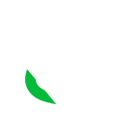 LONG