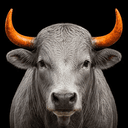 BULL