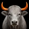 BULL