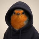 hood