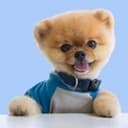 JIFFPOM