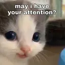 ACAT