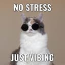 No Stress Just Vibing