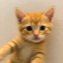 motion