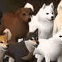 RuneDogs