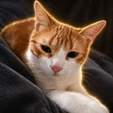 Lio