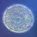 Orb